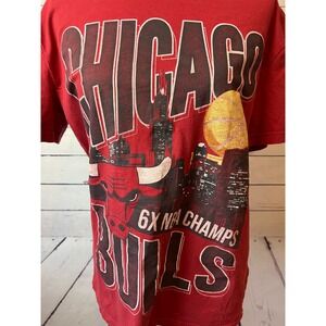Hollister NBA Chicago Bulls T-Shirt Mens Medium 6X NBA Champs Graphic Tee Shirt